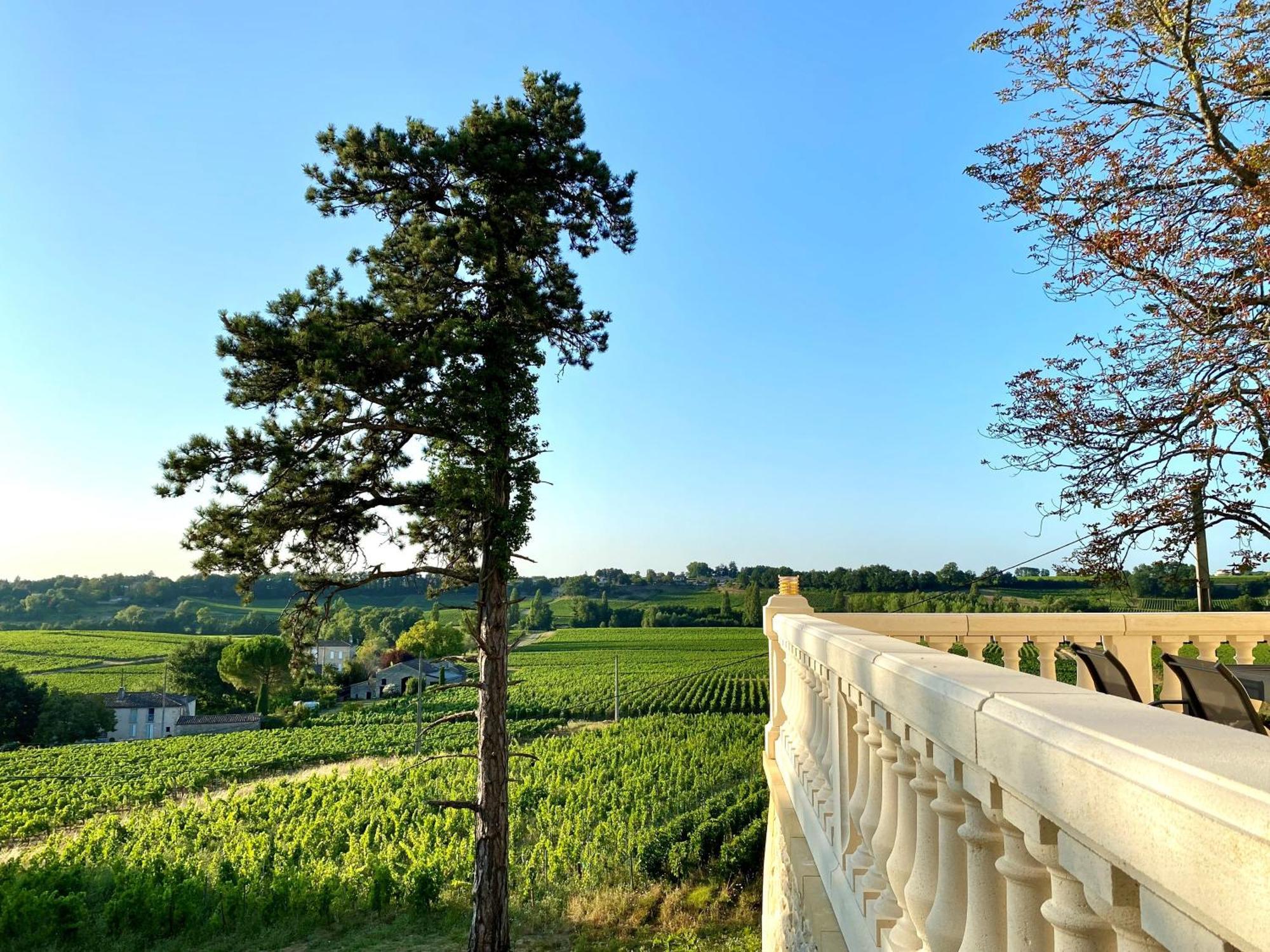 La Reserve Du Chateau De Roques Puisseguin Zewnętrze zdjęcie